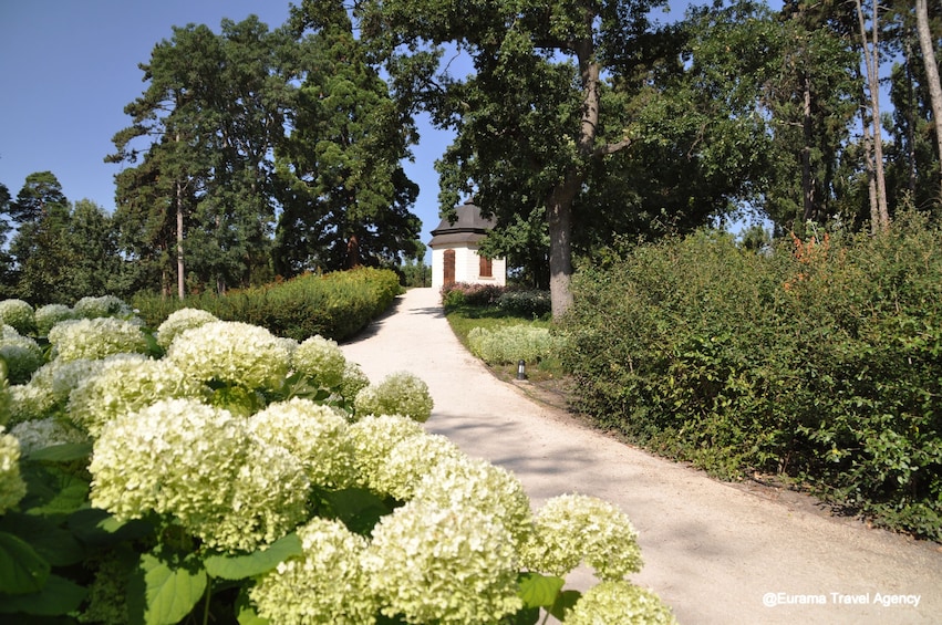 Hydrangeas on path at Royal Palace of Gödöllő