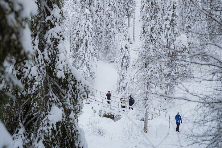Full Day Rovaniemi Frozen Waterfalls Korouma Snowshoes Hike