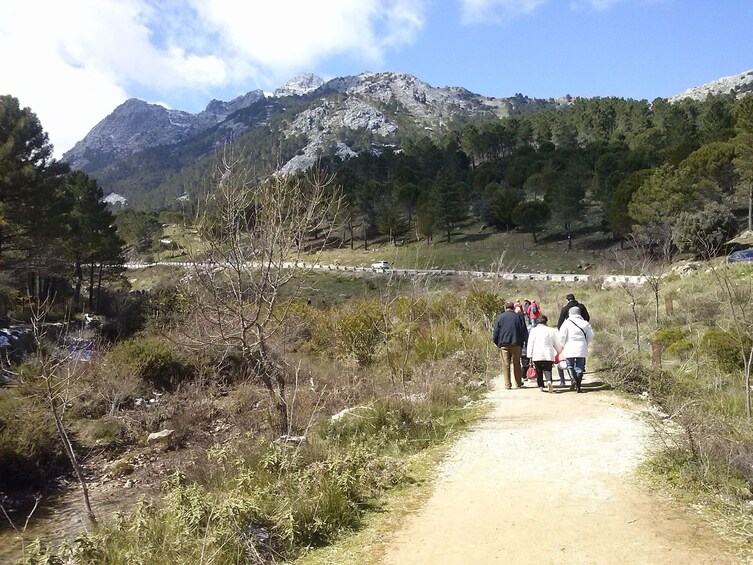 Group on the White Villages and Ronda tour 