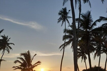 6-Day Sri Lanka Tour: Colombo, Sigiriya, Kandy & Beaches