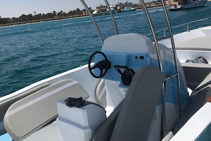 Private Dolphin Watching and Snorkeling Adventure