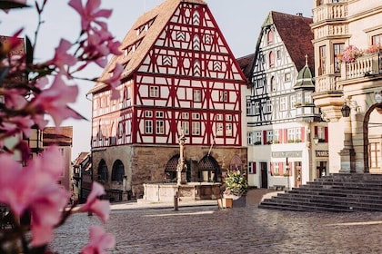 Tour of villages in Basque French Pyrenees Peleta and Ainhoa and Sare