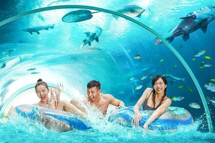 Adventure Cove Waterpark Tickets