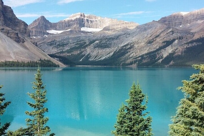 Walking tour Food Experience in Banff