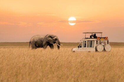 Kenya and Tanzania Expedition Safari Tour