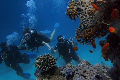 Alicante: Discover Scuba Diving Experience