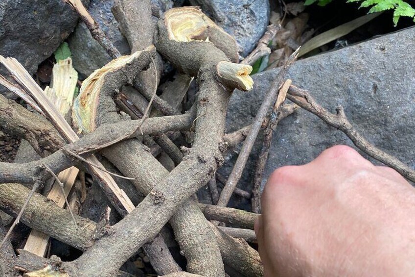 Learn how to make fire