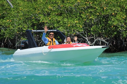 Tour en lancha motora y esnórquel en Cancún