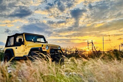 Explore the Medina River Valley on a Rugged Jeep with a Guide
