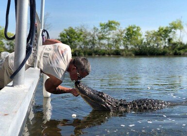 Boat Tour of Louisiana Bayous Near New Orleans