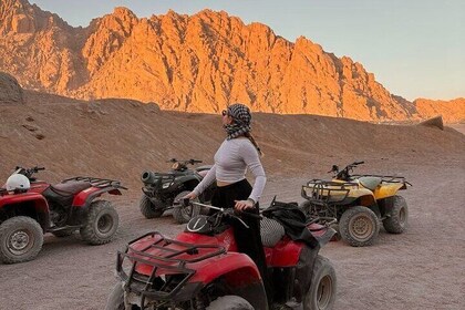 ATV Golden Safari, Jeep, Buggy,Star Watching & Dinner :Marsa Alam