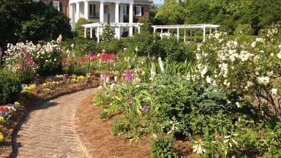Day Trip to Charleston Tour #5: Bus Tour, Boone Plantation, Lunch and More