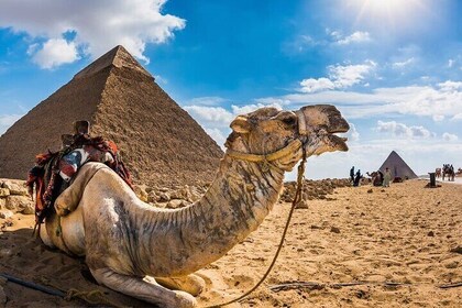 Private Day Trip to Cairo by Plane from Hurghada