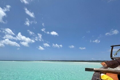 Discover the island of Mnemba, among dolphins and corals!