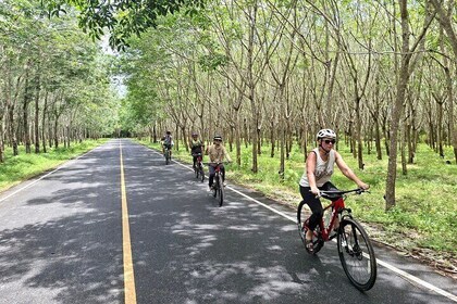 Half Day Biking Tone Phrai Waterfall Countryside from Phuket