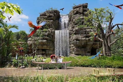 Bird Paradise Singapore Tickets