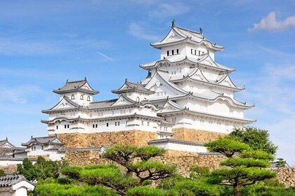 Private Full Day Himeji and Kobe Day Tour