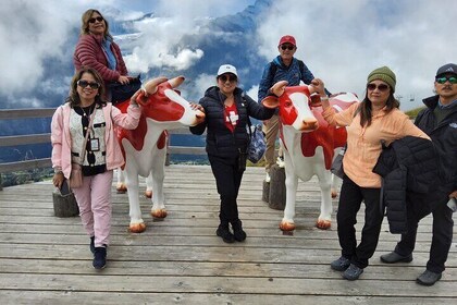 Zurich Day Trip Jungfrau Region with Scenic Train and Hidden Gems