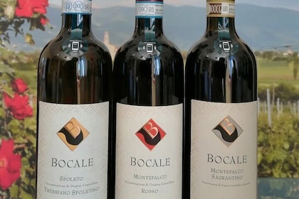 TASTING Selection of 3 wines in Montefalco