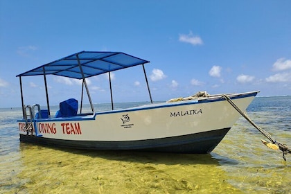 Coastal Explorer and Tropical Boat Ride