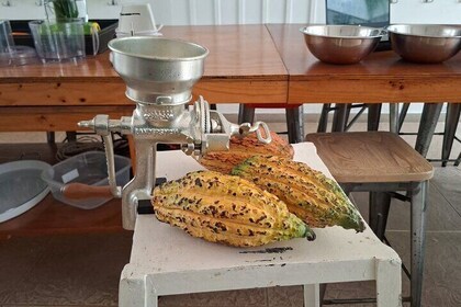 Cacao and Chocolate workshop