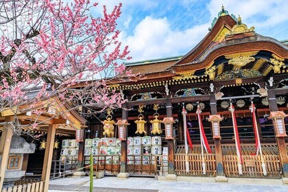 Explore Temples and Shrines in Kyoto with Lunch