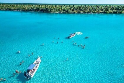 Saona Island Full Day Adventure From Punta Cana and Bavaro