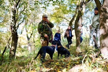 Black Truffle Hunt, Foie Gras & Wines with Budapest Pickup.