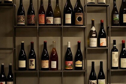 Wine Tasting with Local Bites in Pisa near the Tower