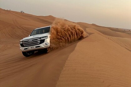 Evening Desert Adventure Camel Falcon Sandboard Sunset BBQ Shows