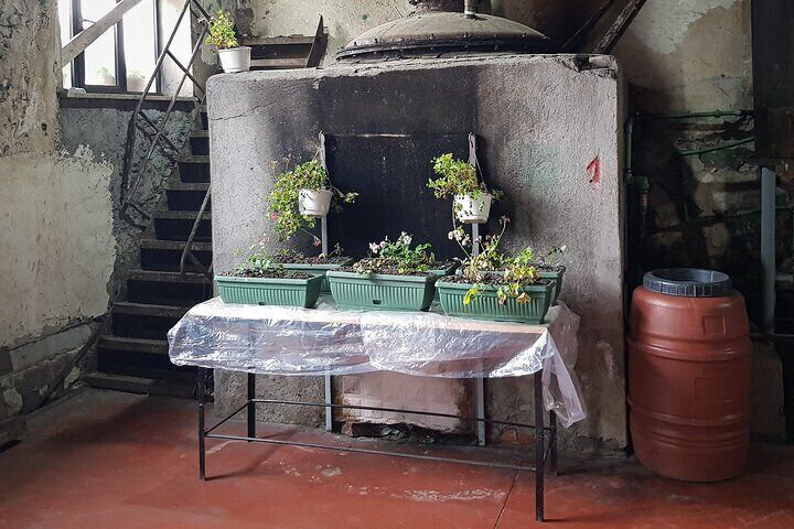 Lunch & Tasting at a Communist Winery