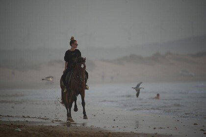 2 Hour Horseback Adventure in Essaouira