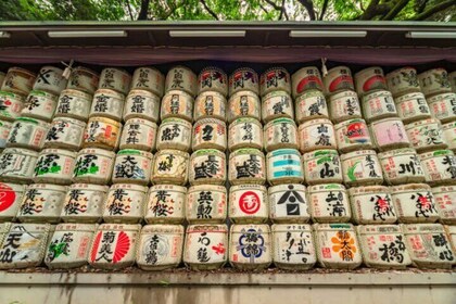 Tokyo Meiji Shrine Walking Tour with Local Japanese Guide