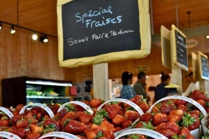 Guided Scooter Tour on Ile d'Orleans ; freedom and emotion