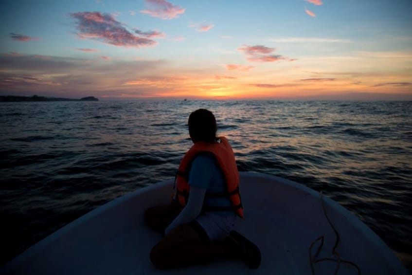 Awakening with stars and dolphins