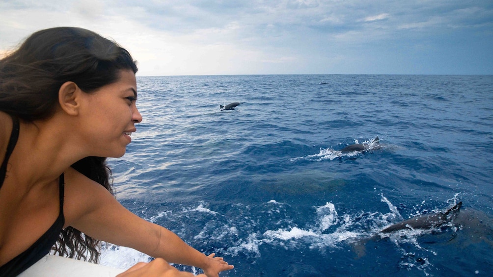 Awakening with stars and dolphins
