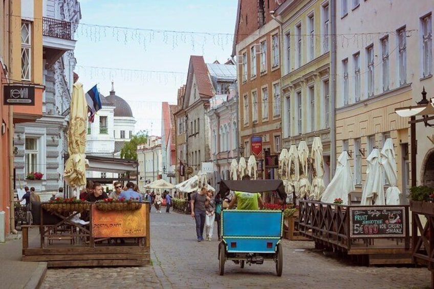 Tallinn Full Day Tour from Helsinki with Hotel Pick-Up