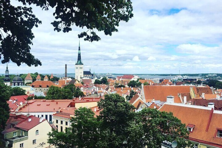 Tallinn Full Day Tour from Helsinki with Hotel Pick-Up