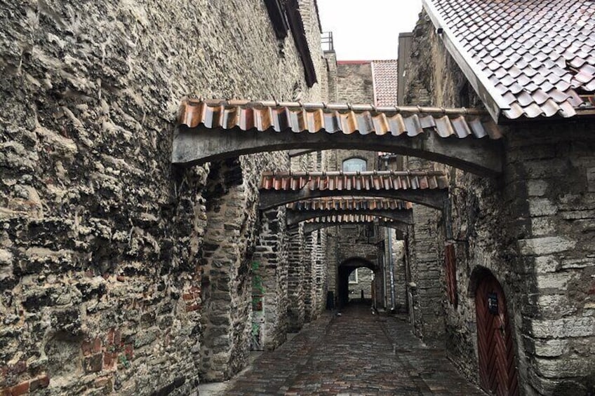 Tallinn Full Day Tour from Helsinki with Hotel Pick-Up