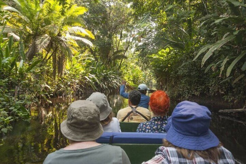 4-Day Amazon Jungle Tour From Iquitos