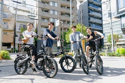 Tokyo: 2 hour Electric Bike Tour of City Highlights