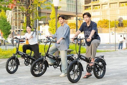 Tokyo: 2-Hour Private E-Bike Tour of the Imperial Palace Area