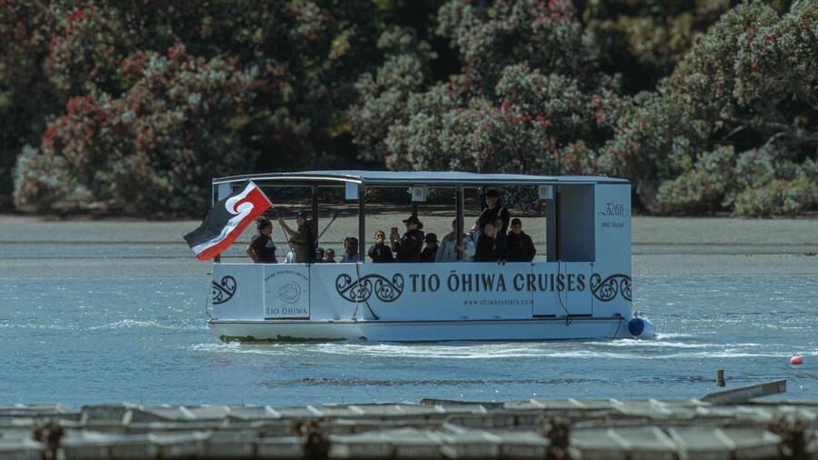 Picture 8 for Activity Ōhope: Guided Cruise with Oyster Experience & Local Stories