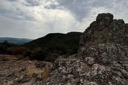 Tolfa : trekking Monte Pintangeli