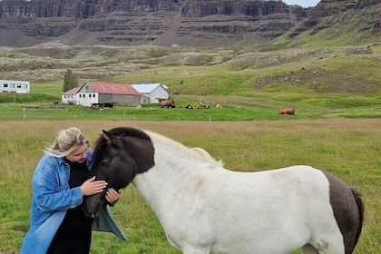 Private 2 Days Farm Stay and Snæfellsnes plus Silver Circle