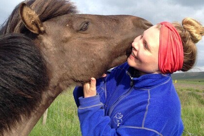 Private 3-Day Farm Golden Circle, Snæfellsnes, and Silver Circle