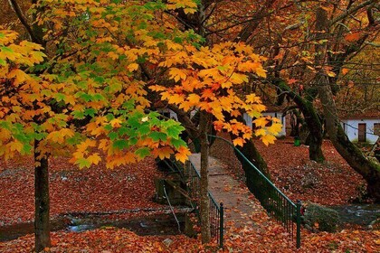 Athens to Kalavryta Rack Railway Monastery and Wine Tasting