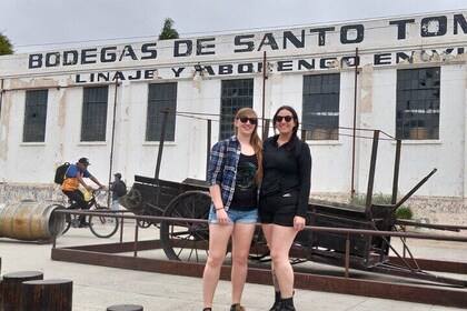 Guadalupe Valley Wine Route Private Tour in Baja California