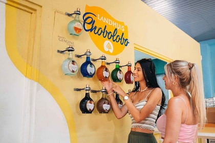 Curacao: Willemstad Highlights and Beach Break