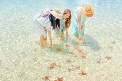 Phu Quoc Northern Escape Kayaking Adventure and Starfish Beach